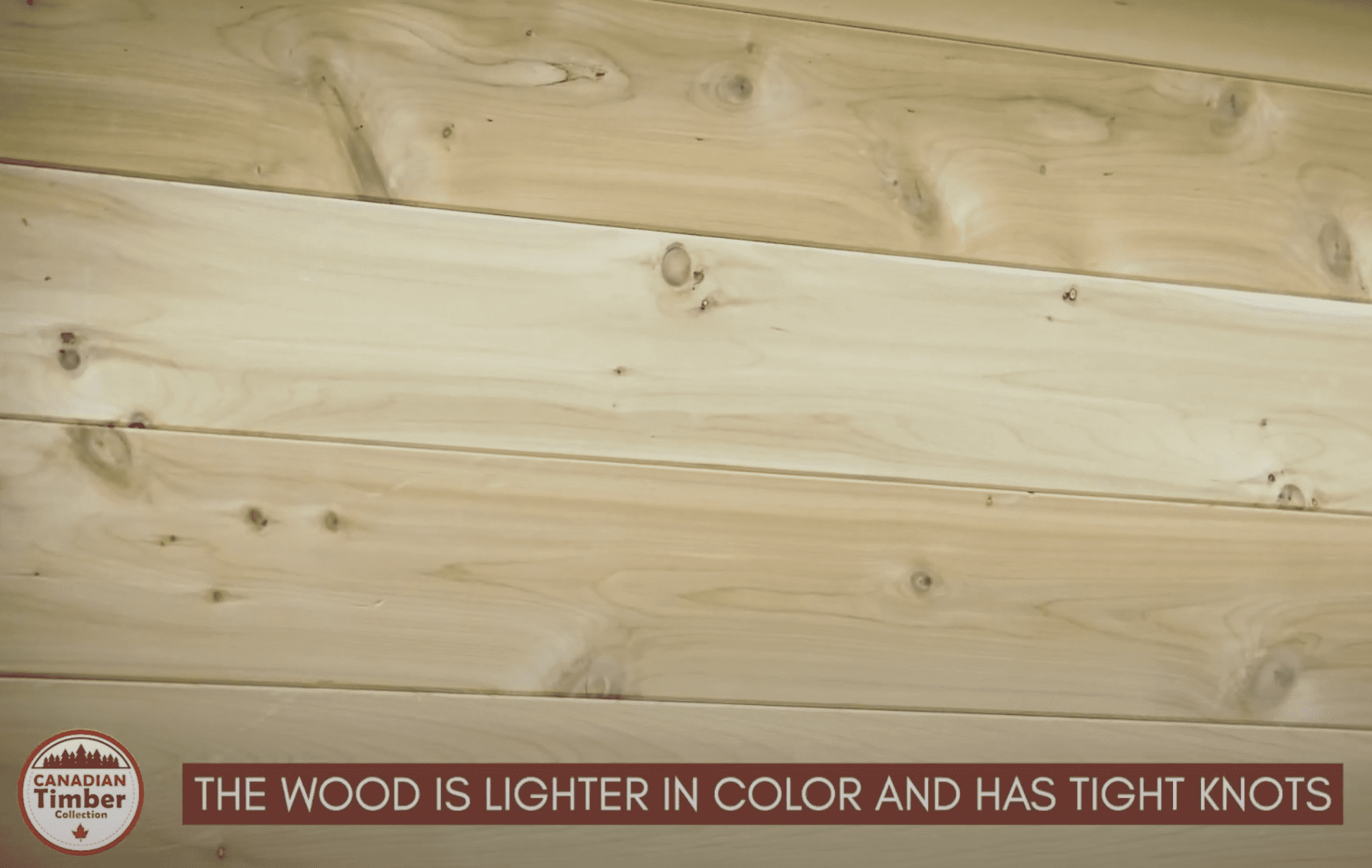 Dundalk CT Georgian 6 Person Outdoor Sauna with Changeroom